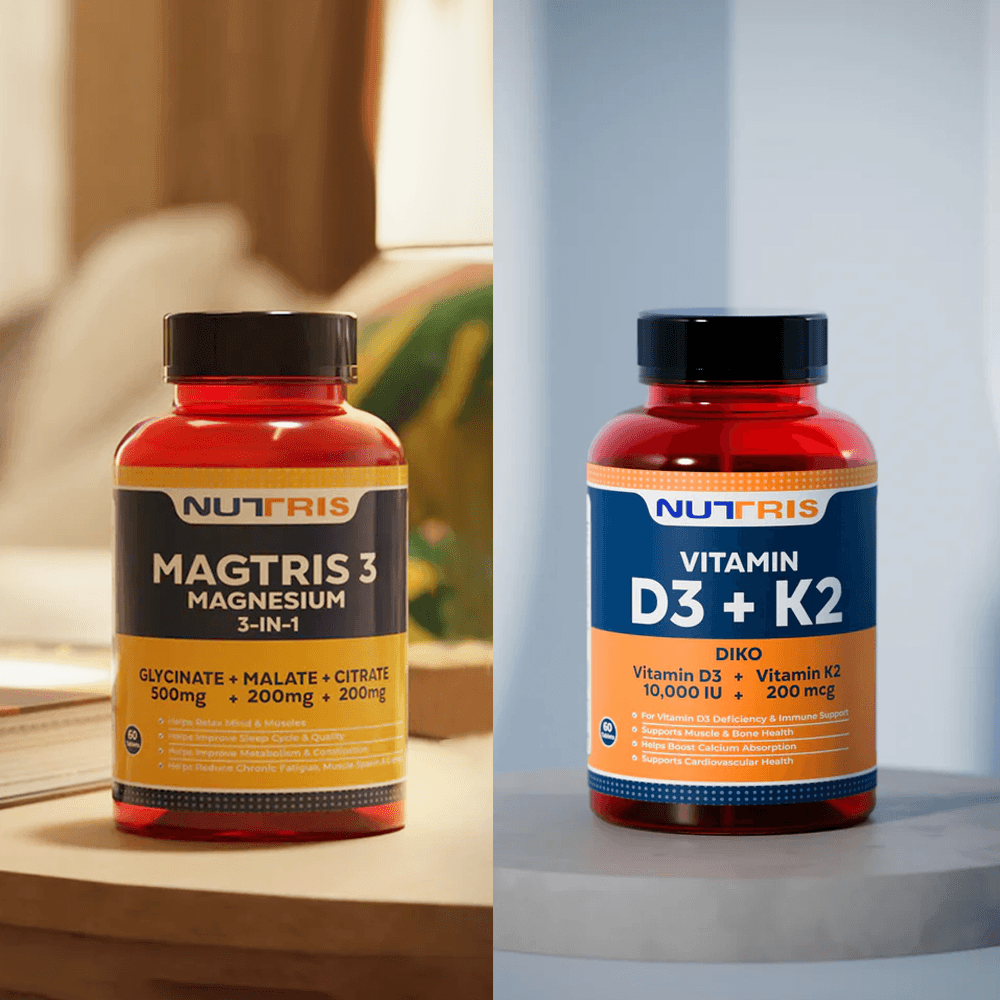 The Daily Equilibrium Bundle