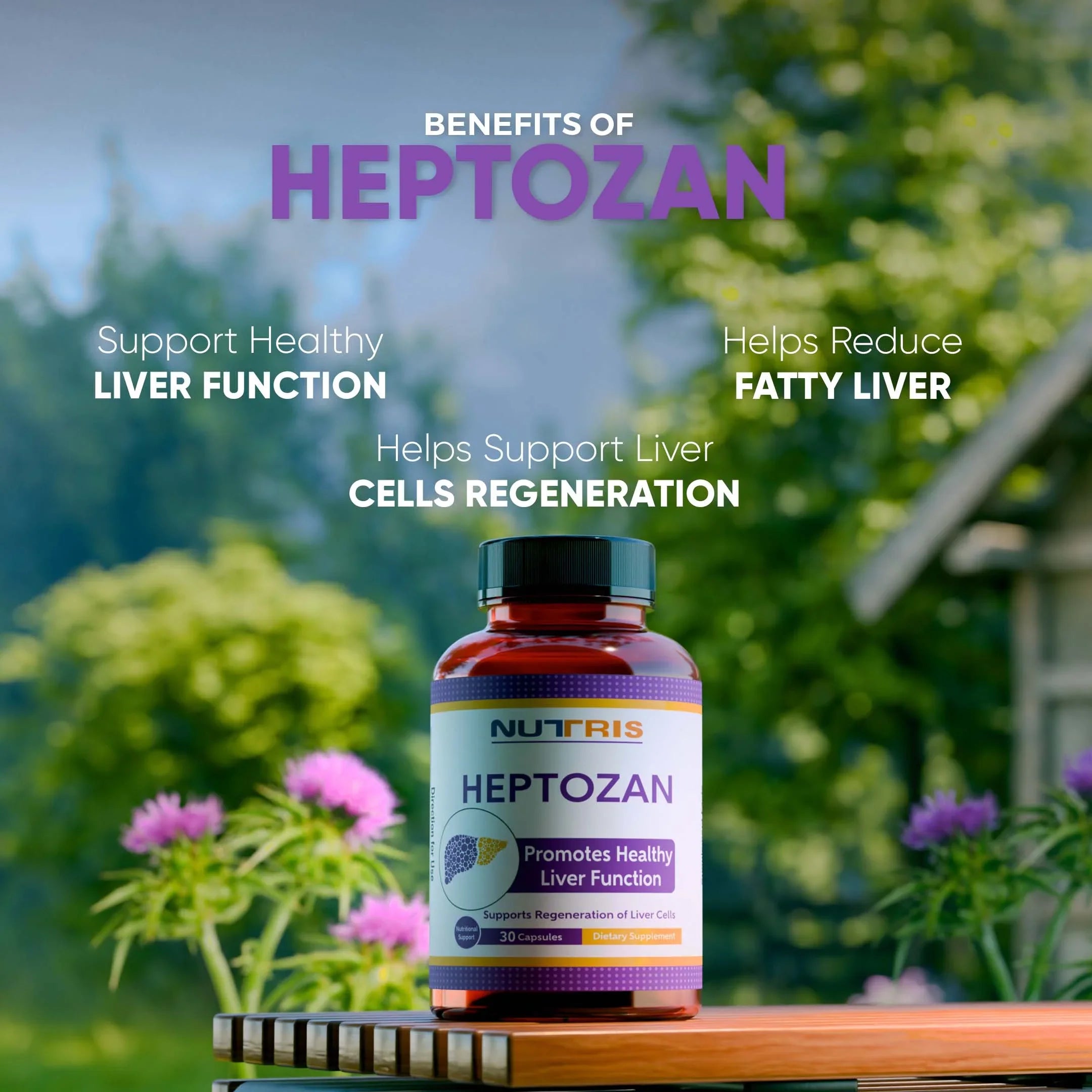 Heptozan - Milk Thistle For Fatty Liver