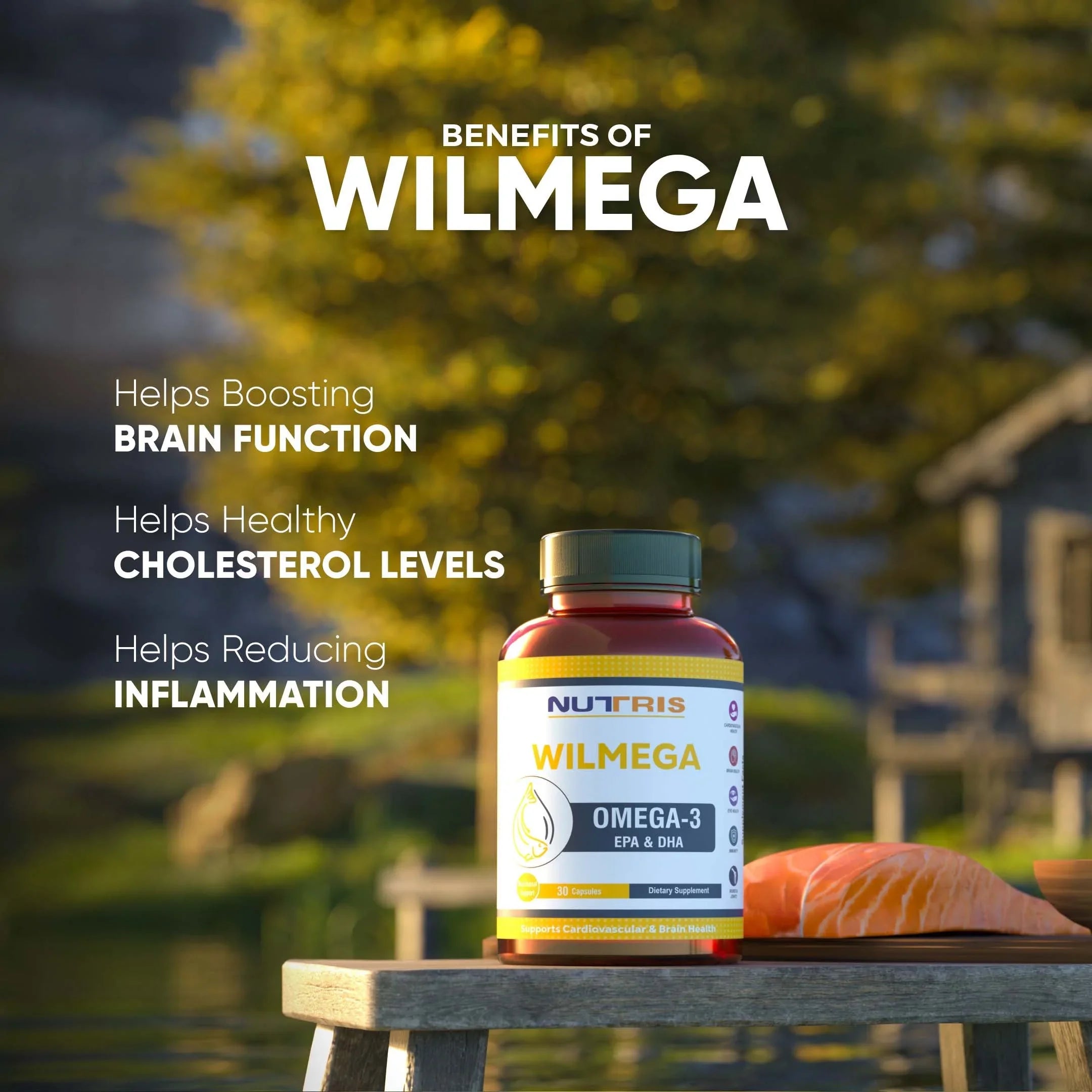 Wilmega - Omega-3 for Heart & Brain Health