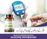 Buy 2 Glucofix Get 1 Free - Nutris Life